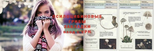 спиды Алексеевка