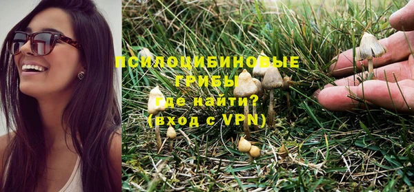 спиды Алексеевка