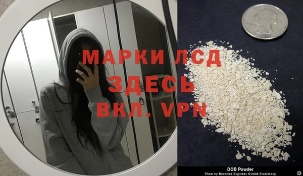 ГАЛЛЮЦИНОГЕННЫЕ ГРИБЫ Алзамай