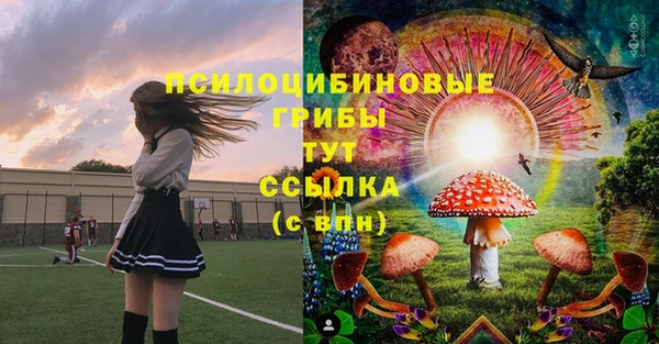 мяу мяу кристалл Алексин